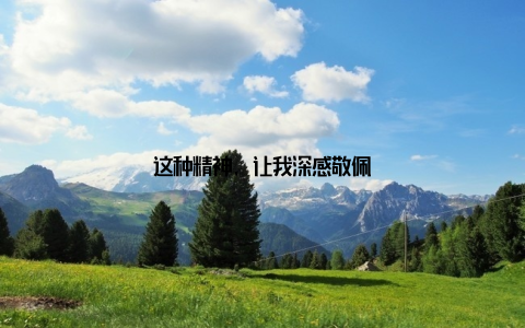 这种精神, 让我深感敬佩