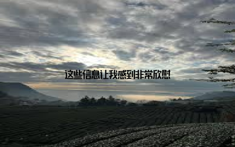 这些信息让我感到非常欣慰