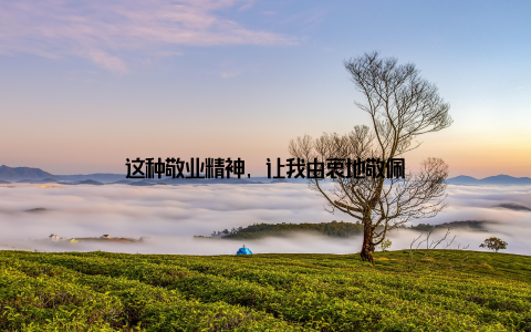 这种敬业精神, 让我由衷地敬佩