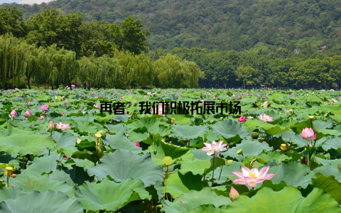 再者, 我们积极拓展市场
