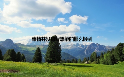 事情并没有我想象的那么顺利