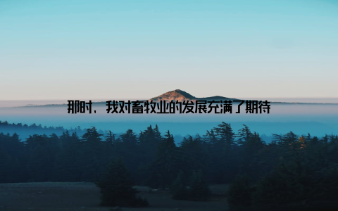 那时, 我对畜牧业的发展充满了期待