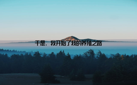 于是, 我开始了我的养殖之路