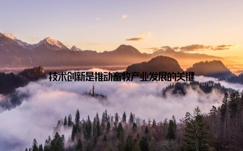 技术创新是推动畜牧产业发展的关键