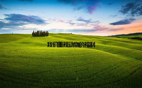 我们重视动物的福利