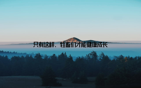 只有这样, 牲畜们才能健康成长