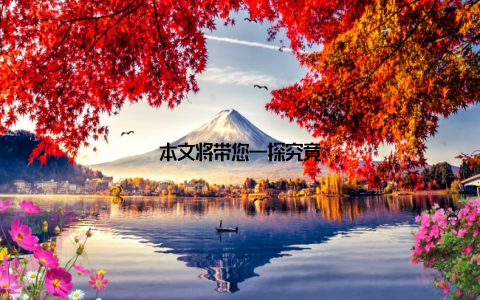 本文将带您一探究竟