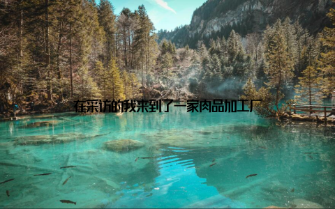 在采访的我来到了一家肉品加工厂