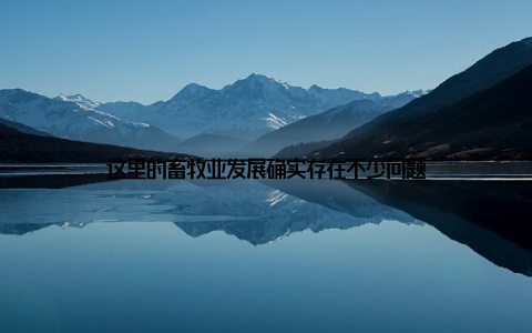这里的畜牧业发展确实存在不少问题