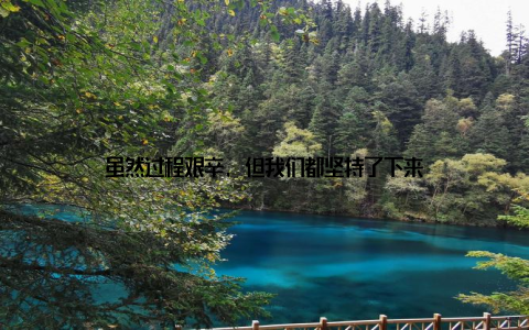 虽然过程艰辛, 但我们都坚持了下来