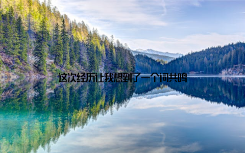 这次经历让我想到了一个词共鸣