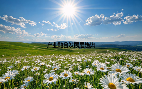 产业融合发展是趋势