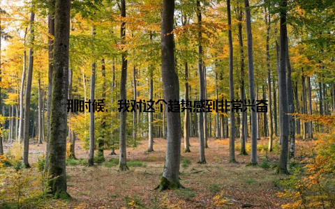 那时候, 我对这个趋势感到非常兴奋