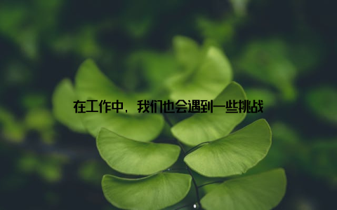 在工作中, 我们也会遇到一些挑战