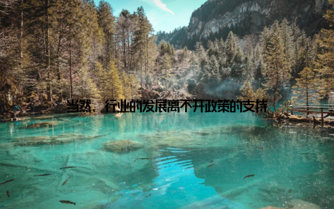 当然, 行业的发展离不开政策的支持