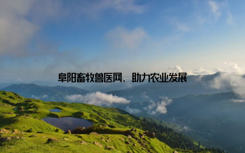 阜阳畜牧兽医网, 助力农业发展