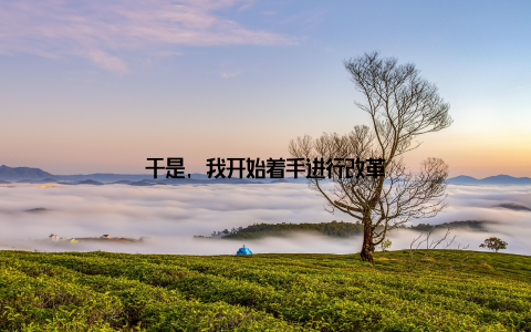 于是, 我开始着手进行改革