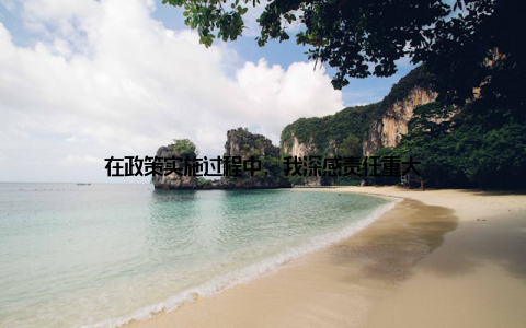 在政策实施过程中, 我深感责任重大