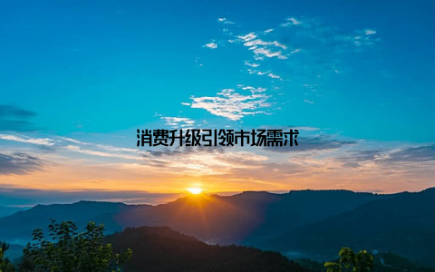 消费升级引领市场需求