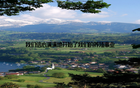 我们信心满满地开始了我们的养殖事业