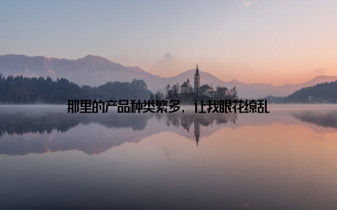 那里的产品种类繁多, 让我眼花缭乱
