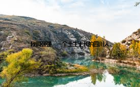 我叫张强, 一个土生土长的四川人