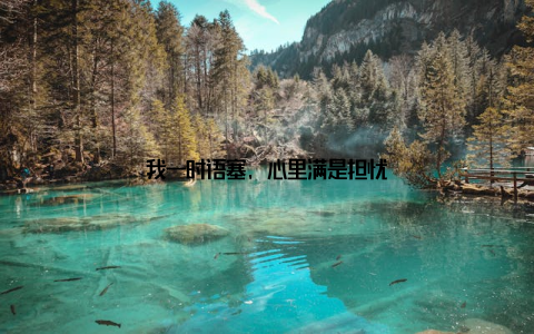 我一时语塞, 心里满是担忧