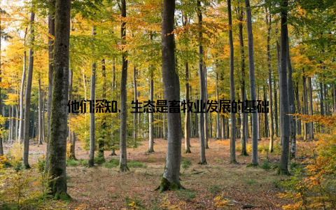 他们深知, 生态是畜牧业发展的基础