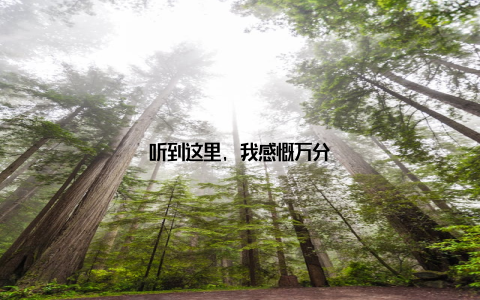 听到这里, 我感慨万分