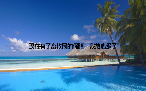 现在有了畜牧局的保障, 我放心多了