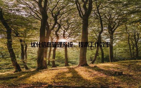 优化信息管理系统, 提高工作效率