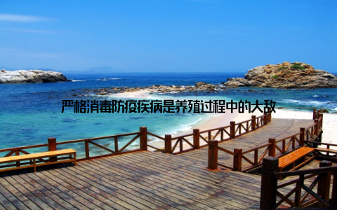 严格消毒防疫疾病是养殖过程中的大敌