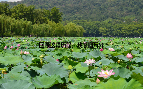 回顾这段历程, 我感慨万分