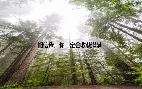 相信我, 你一定会收获满满!