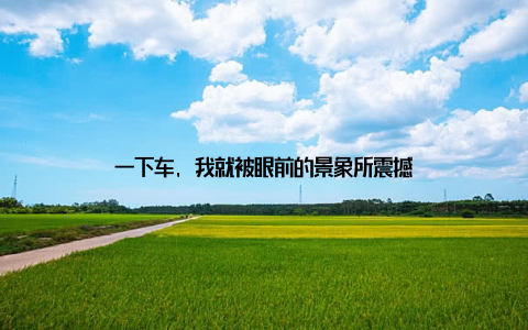 一下车, 我就被眼前的景象所震撼
