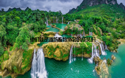 他们就是潍坊畜牧协会的成员们