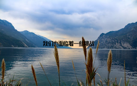 我们也面临着一些挑战