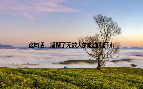 这句话, 凝聚了无数人的心血和汗水