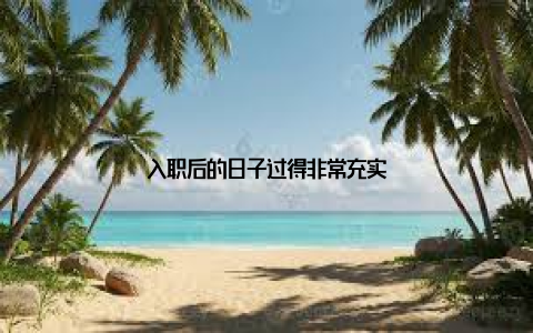入职后的日子过得非常充实