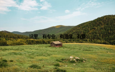 这里, 有专业、有温度、有爱