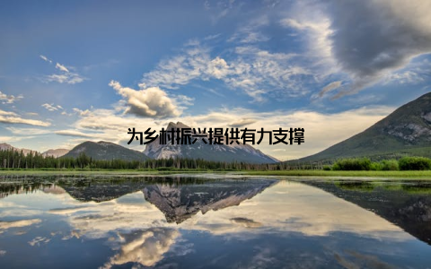 为乡村振兴提供有力支撑