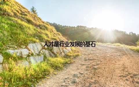 人才是行业发展的基石