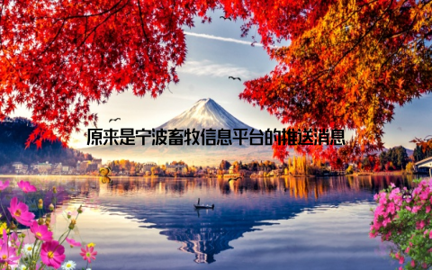 原来是宁波畜牧信息平台的推送消息