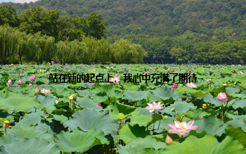 站在新的起点上, 我心中充满了期待