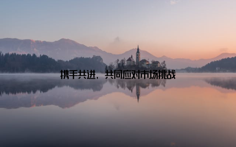 携手共进, 共同应对市场挑战
