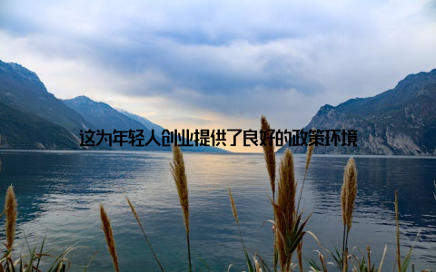 这为年轻人创业提供了良好的政策环境