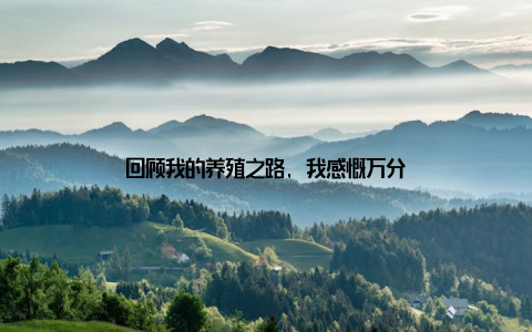 回顾我的养殖之路, 我感慨万分