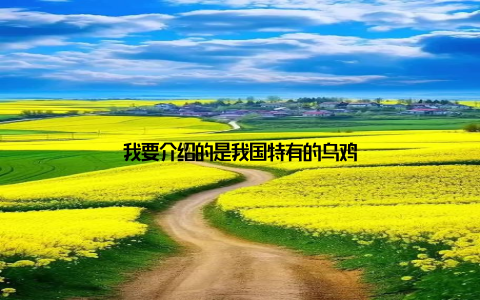 我要介绍的是我国特有的乌鸡