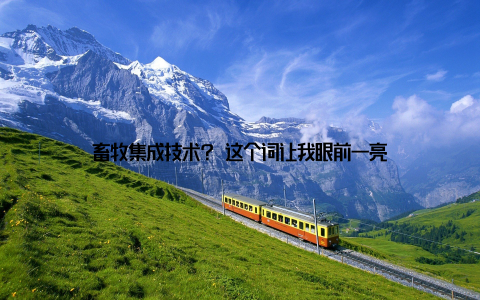畜牧集成技术? 这个词让我眼前一亮