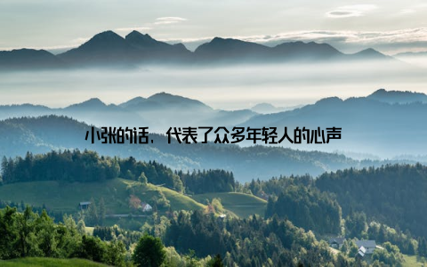 小张的话, 代表了众多年轻人的心声
